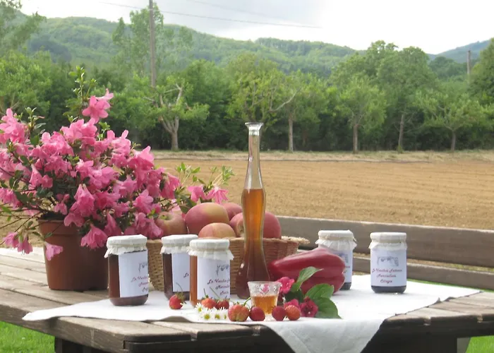 La Vecchia Fattoria * Decollatura