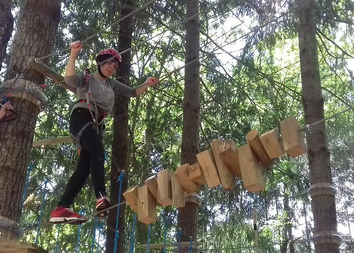 La Vecchia Fattoria Decollatura